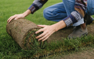 Using a dumpster rental for DIY Landscape Projects in Phoenix